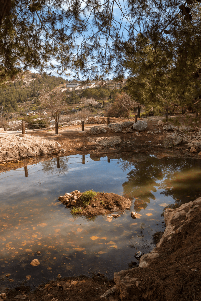 Beautiful Pool at Shiloh Israel